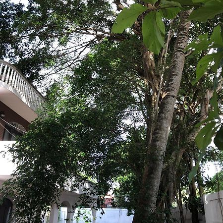 Murphy'S Villa Katunayaka Exterior photo