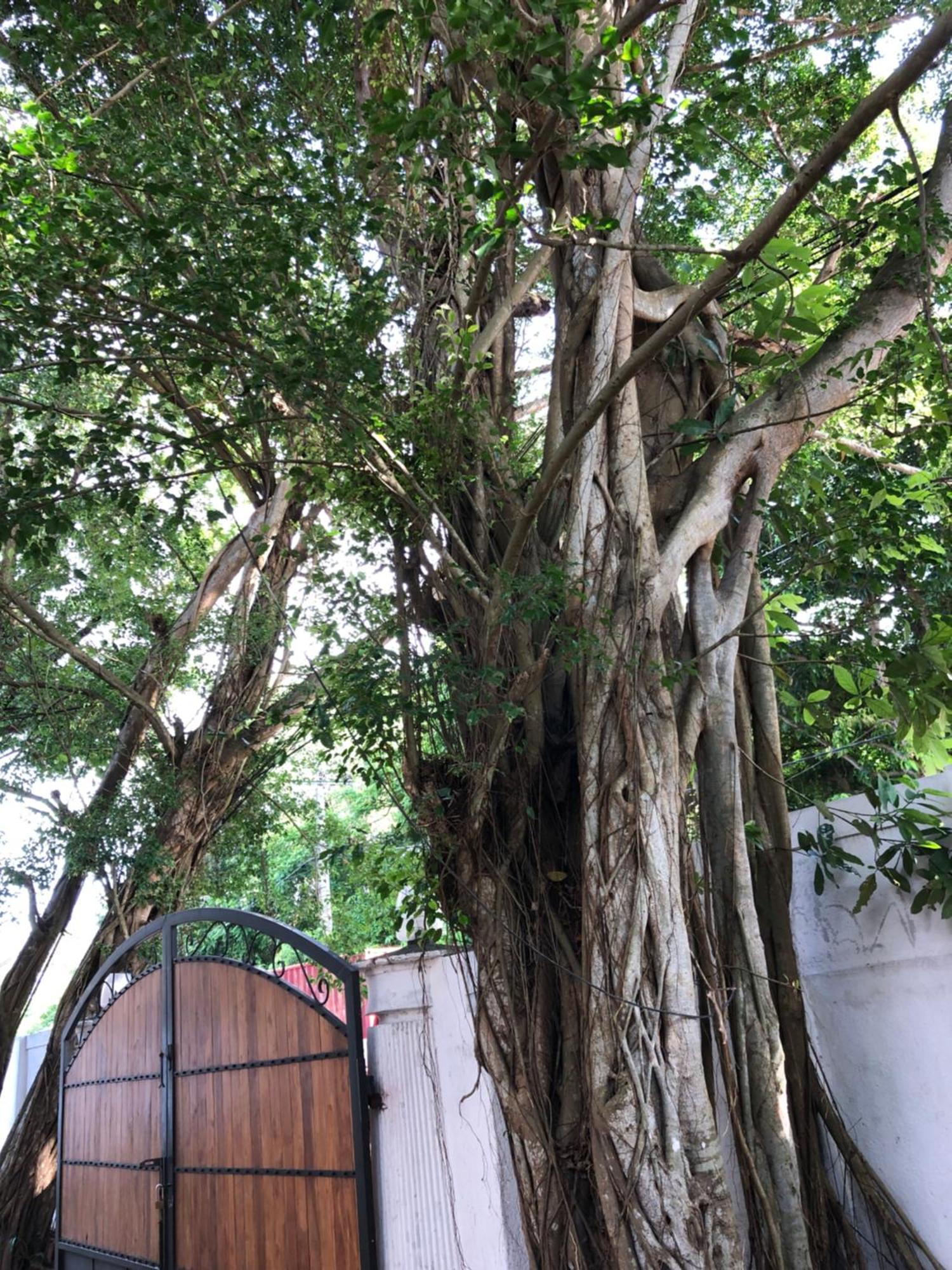 Murphy'S Villa Katunayaka Exterior photo