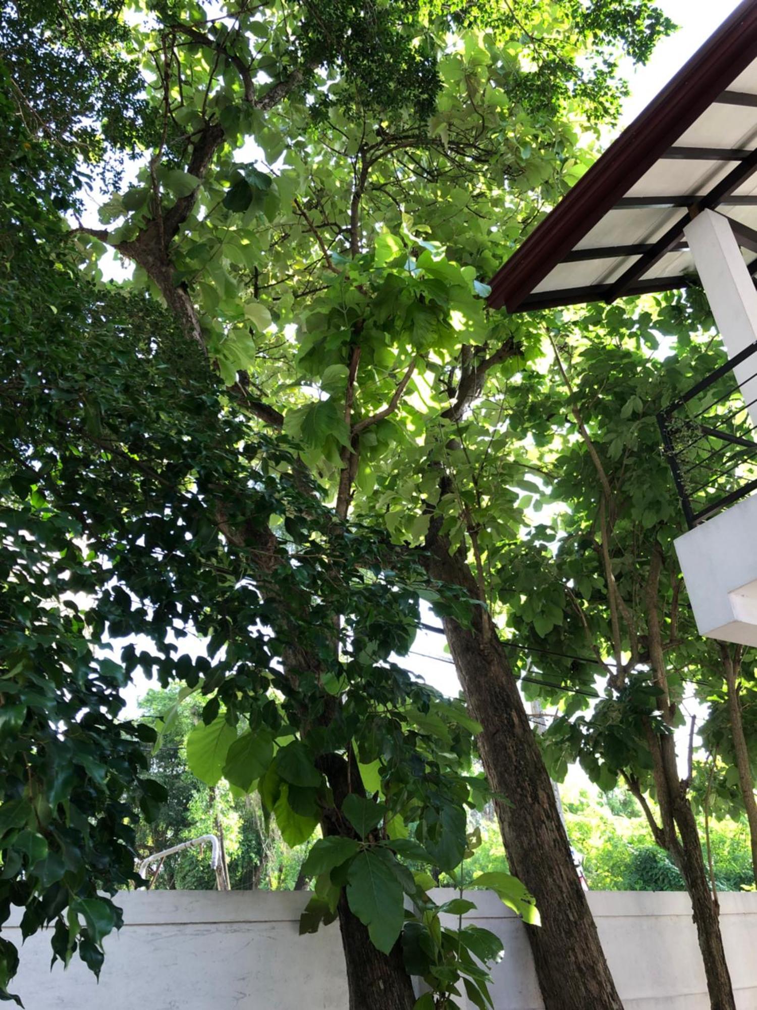 Murphy'S Villa Katunayaka Exterior photo