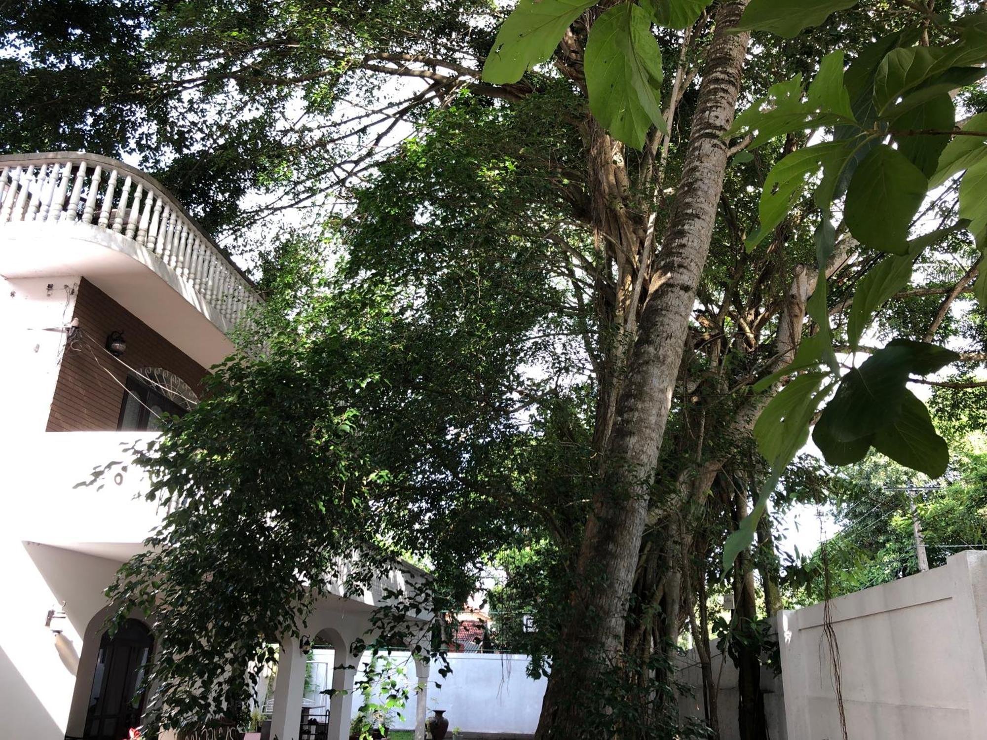 Murphy'S Villa Katunayaka Exterior photo