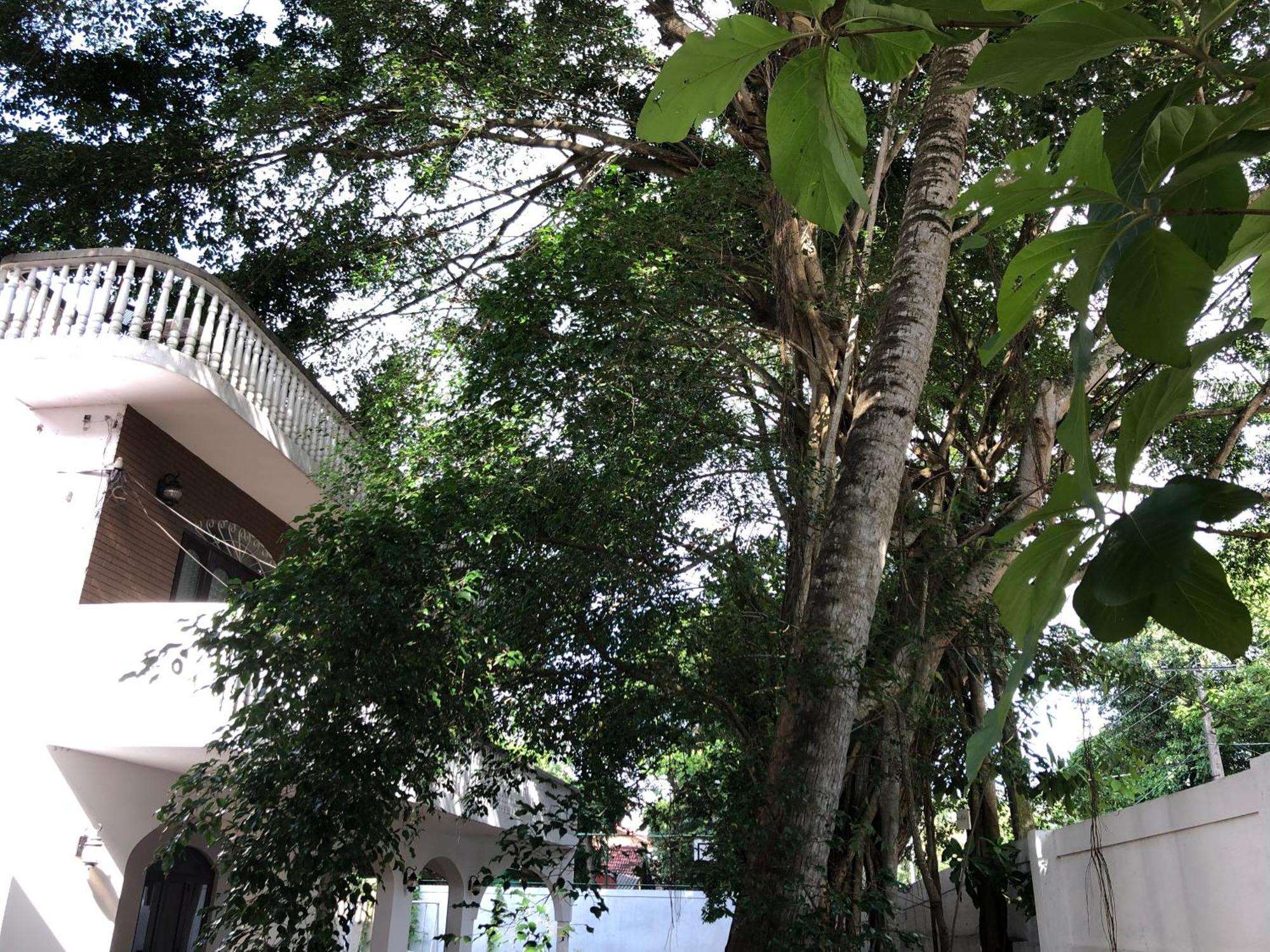 Murphy'S Villa Katunayaka Exterior photo